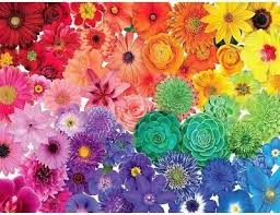 Desenhos de Rainbow Flowers Jigsaw Puzzle 2 para colorir