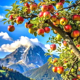 Red Apples Jigsaw Puzzle