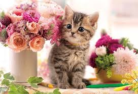 Roses and a Kitten Jigsaw Puzzle