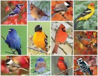 Songbirds Jigsaw Puzzle