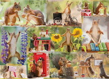 Squirrel Collage Jigsaw Puzzle