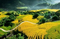 Ta Van, Sapa, Vietnam Jigsaw Puzzle