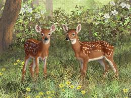 Twin Whitetail Fawns Jigsaw Puzzle