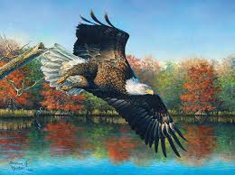 Wetlands Eagle Jigsaw Puzzle