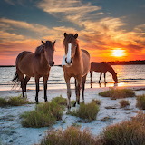 Wild Horses at Beach Jigsaw Puzzle