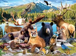 Wildlife of Rocky Mountains National Park Jigsaw Puzzle
