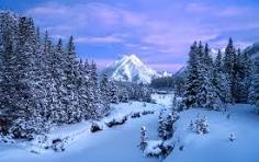 Winter Rocky Mountain Jigsaw Puzzle