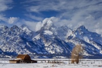 Wyoming Winter, Grand Teton National Park Jigsaw Puzzle