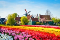 Desenhos de Zaanse Schans, Netherlands Jigsaw Puzzle para colorir